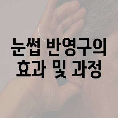 눈썹 반영구의 효과 및 과정