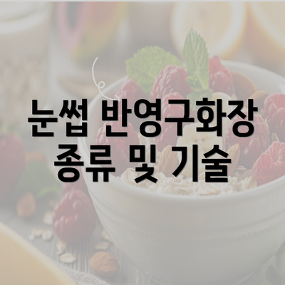 눈썹 반영구화장 종류 및 기술