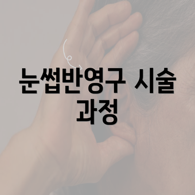 눈썹반영구 시술 과정