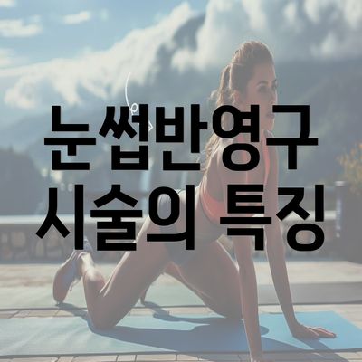 눈썹반영구 시술의 특징