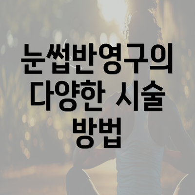 눈썹반영구의 다양한 시술 방법