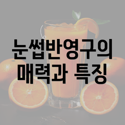 눈썹반영구의 매력과 특징