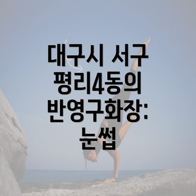 대구시 서구 평리4동의 반영구화장: 눈썹