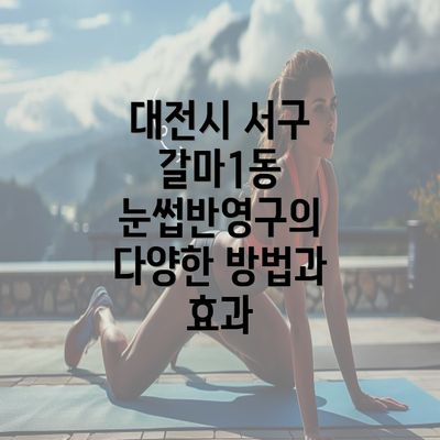 대전시 서구 갈마1동 눈썹반영구의 다양한 방법과 효과