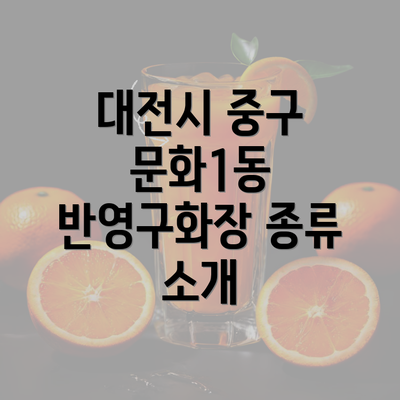 대전시 중구 문화1동 반영구화장 종류 소개