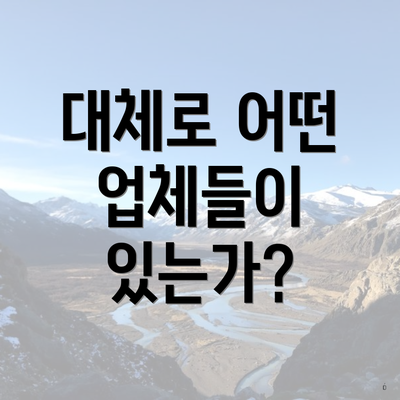 대체로 어떤 업체들이 있는가?