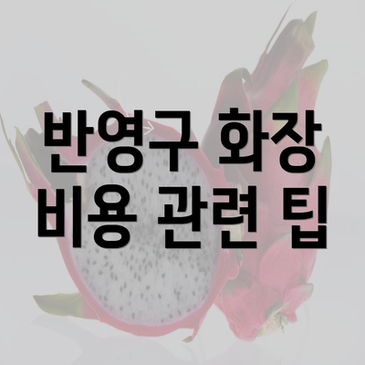 반영구 화장 비용 관련 팁