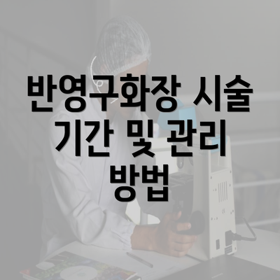 반영구화장 시술 기간 및 관리 방법