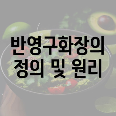 반영구화장의 정의 및 원리