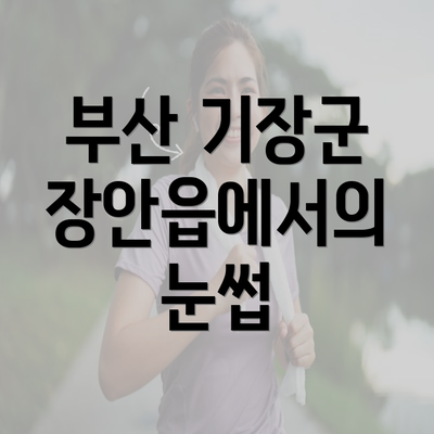 부산 기장군 장안읍에서의 눈썹