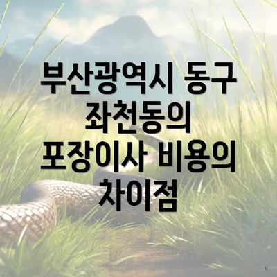 부산광역시 동구 좌천동의 포장이사 비용의 차이점