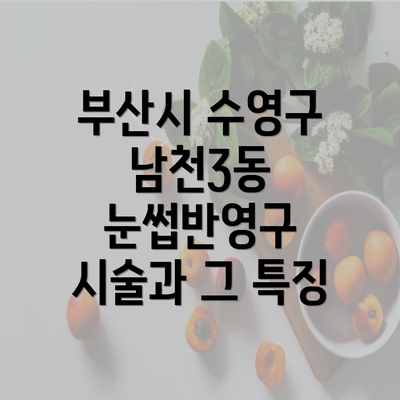 부산시 수영구 남천3동 눈썹반영구 시술과 그 특징