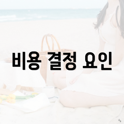 비용 결정 요인