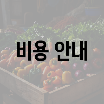 비용 안내