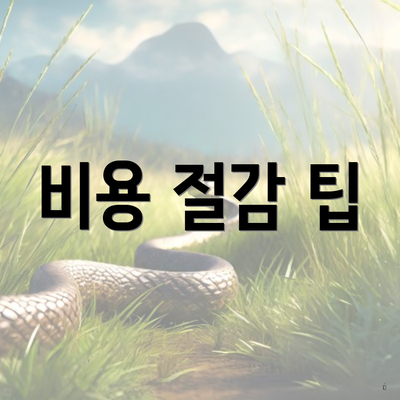 비용 절감 팁