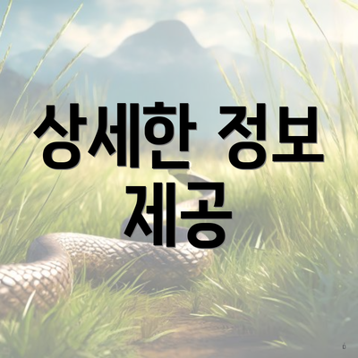 상세한 정보 제공