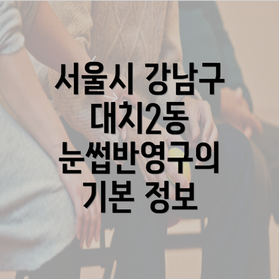 서울시 강남구 대치2동 눈썹반영구의 기본 정보