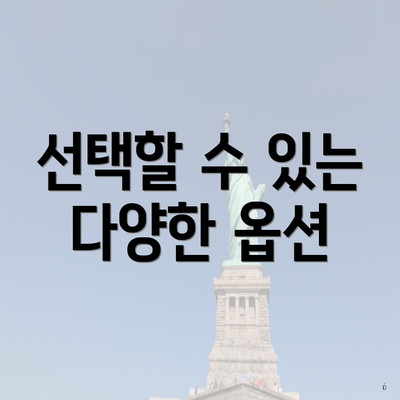 선택할 수 있는 다양한 옵션