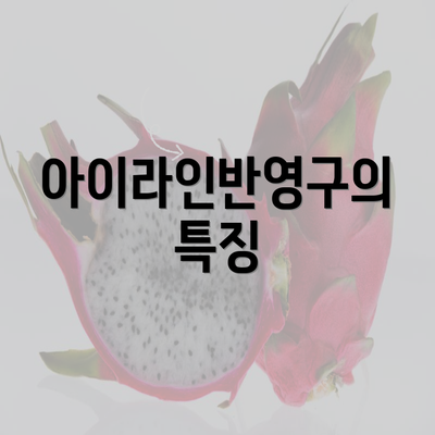 아이라인반영구의 특징