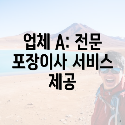 업체 A: 전문 포장이사 서비스 제공