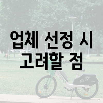 업체 선정 시 고려할 점