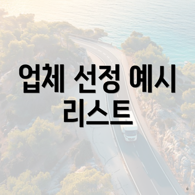 업체 선정 예시 리스트