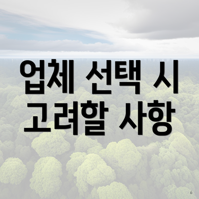 업체 선택 시 고려할 사항