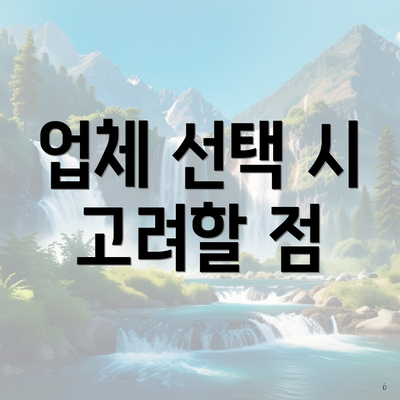 업체 선택 시 고려할 점