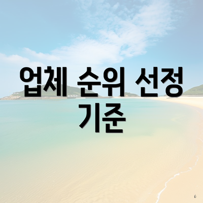 업체 순위 선정 기준