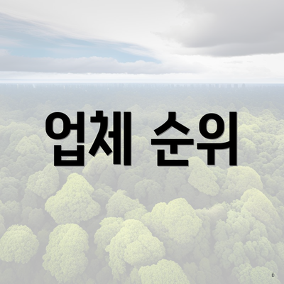 업체 순위