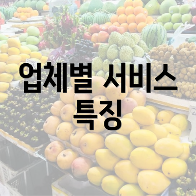 업체별 서비스 특징