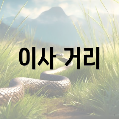 이사 거리