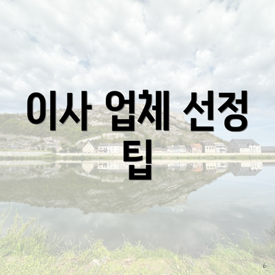 이사 업체 선정 팁