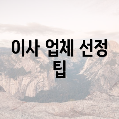 이사 업체 선정 팁