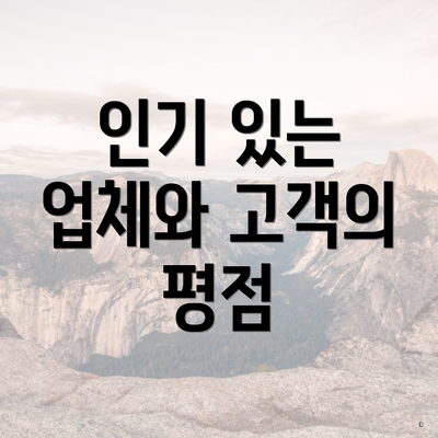 인기 있는 업체와 고객의 평점