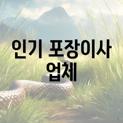 인기 포장이사 업체