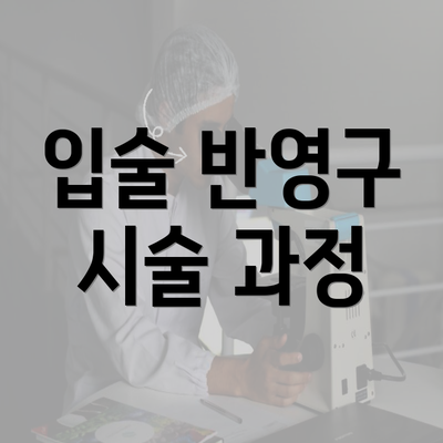 입술 반영구 시술 과정