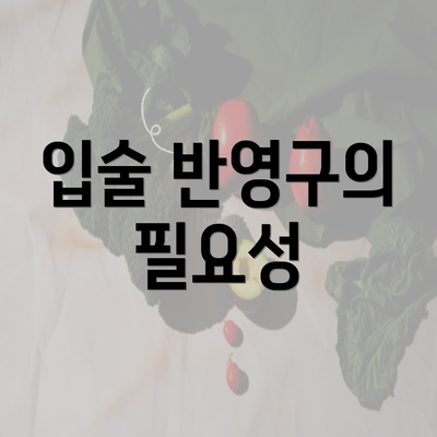 입술 반영구의 필요성