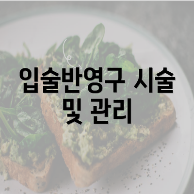 입술반영구 시술 및 관리