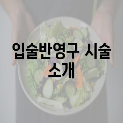 입술반영구 시술 소개