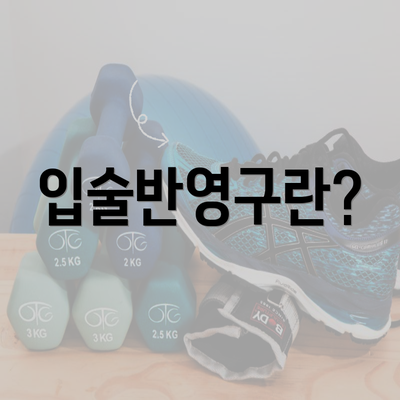 입술반영구란?