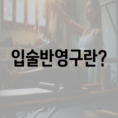 입술반영구란?