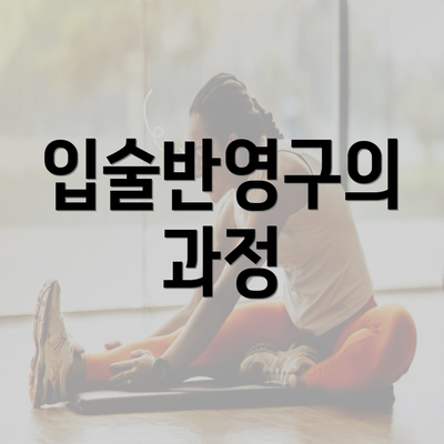 입술반영구의 과정