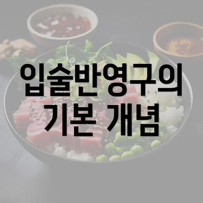 입술반영구의 기본 개념