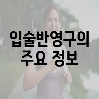 입술반영구의 주요 정보