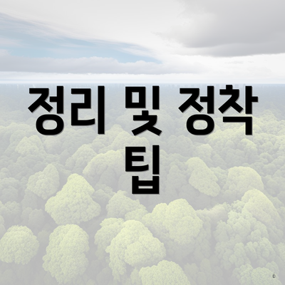 정리 및 정착 팁