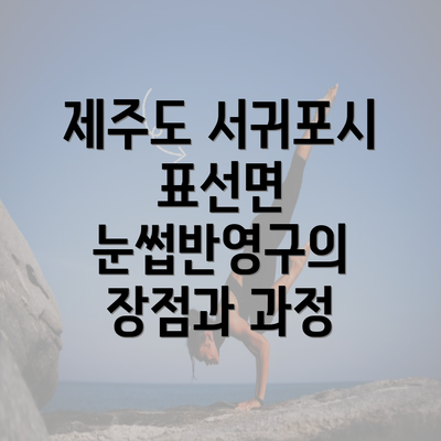 제주도 서귀포시 표선면 눈썹반영구의 장점과 과정