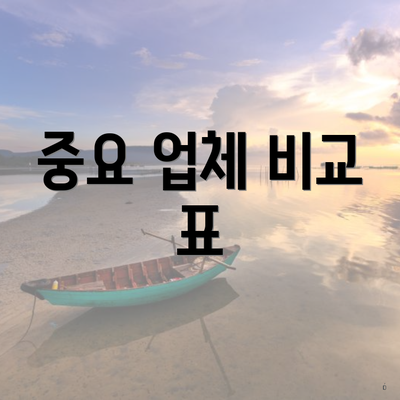 중요 업체 비교 표