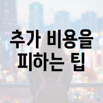 추가 비용을 피하는 팁