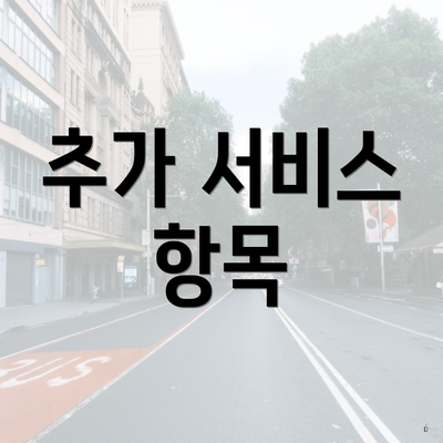 추가 서비스 항목